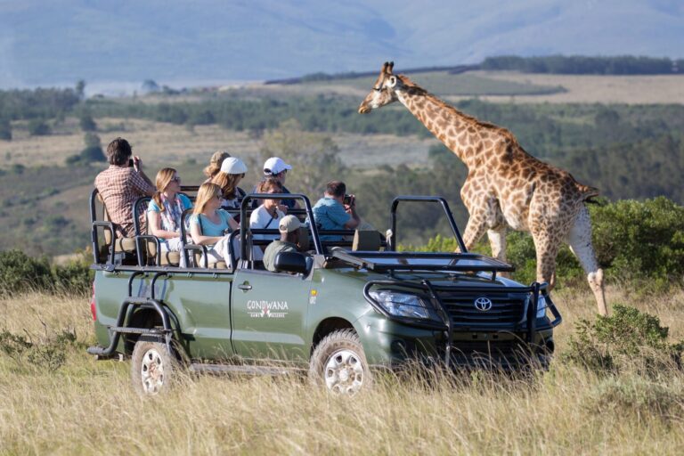 Safari im Gondwana Game Reserve