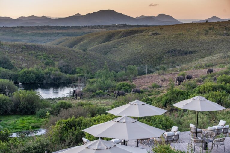 Foto: Gondwana Game Reserve