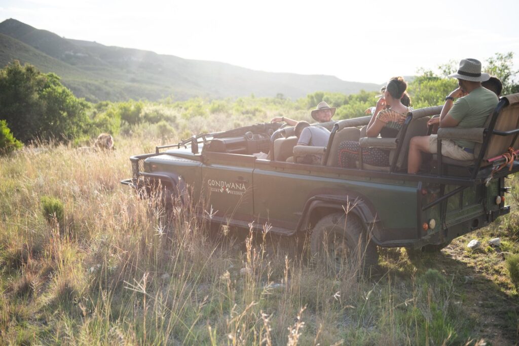Pirschfahrt im offenen Safarifahrzeug im Gondwana Private Game Reserve