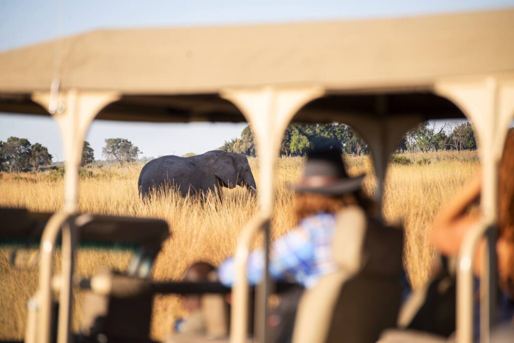 Pirschfahrt im Caprivi