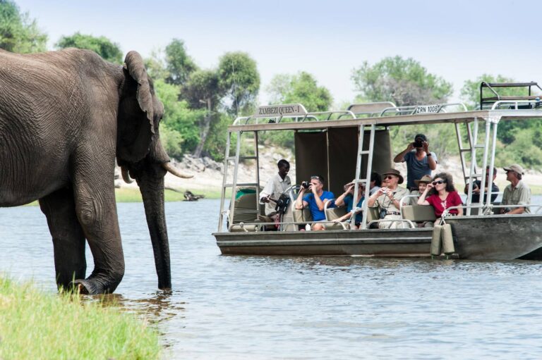Foto: Zambezi Queen Collection