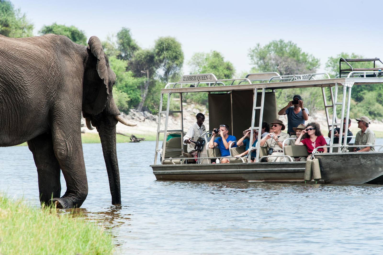Elefant am Ufer des Chobe, Gäste im offenen Tenderboot
