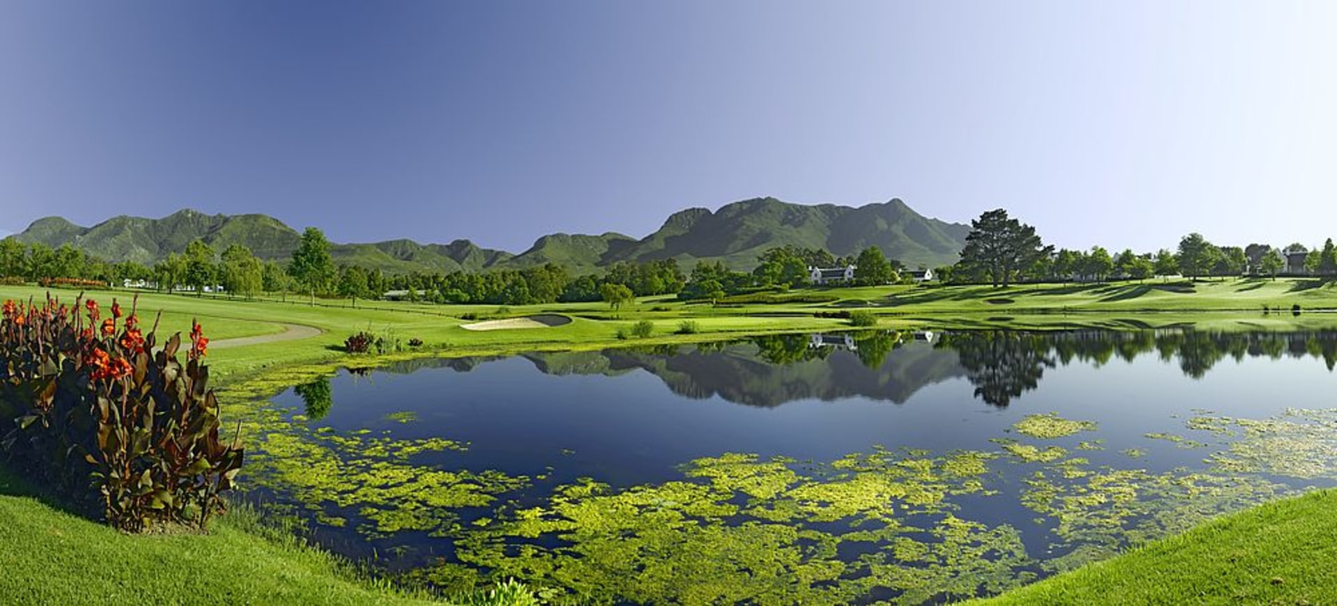 Outeniqua